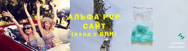 прущие грибы Михайловск