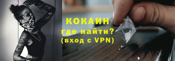 прущие грибы Михайлов