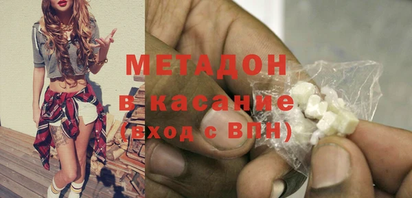 прущие грибы Михайлов