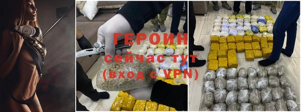 прущие грибы Михайлов