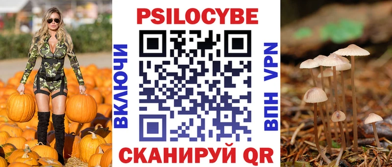 Псилоцибиновые грибы Cubensis Приволжский